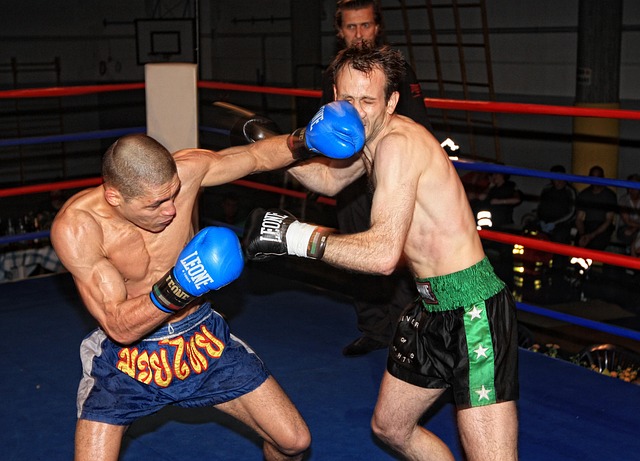 MMA新人選手首次亮相賠率分析與策略