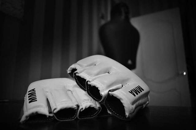 MMA鬥士數據庫：技術評測與投注策略應用
