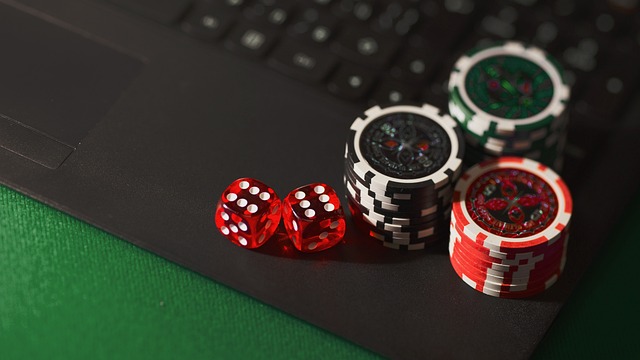 MMA Kelly Criterion 投注策略：數據化資金管理指南